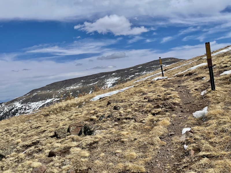 Photo #8 22040_08