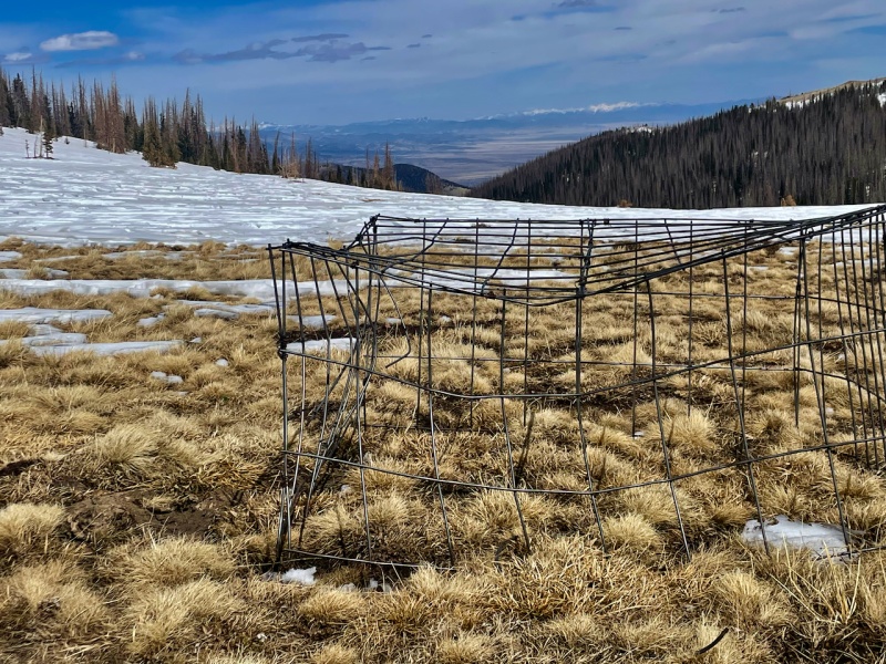 Photo #9 22040_10