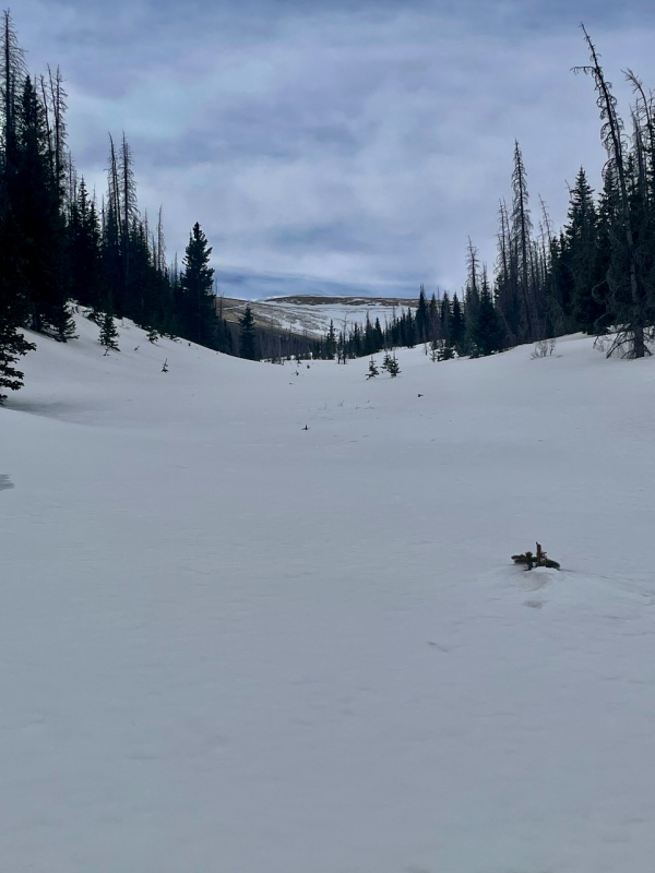 Photo #11 22040_11