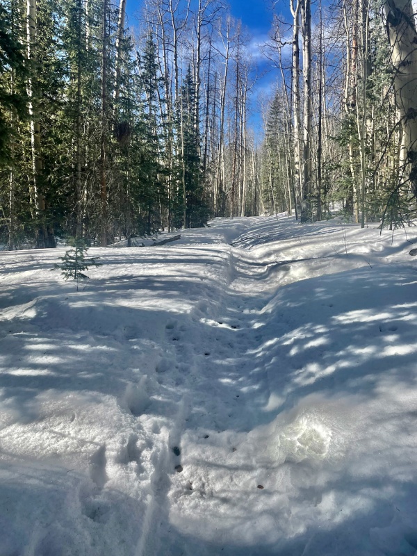 Photo #13 22040_13
