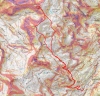46