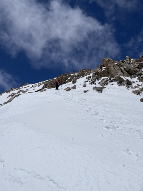 Photo #5 22530_05