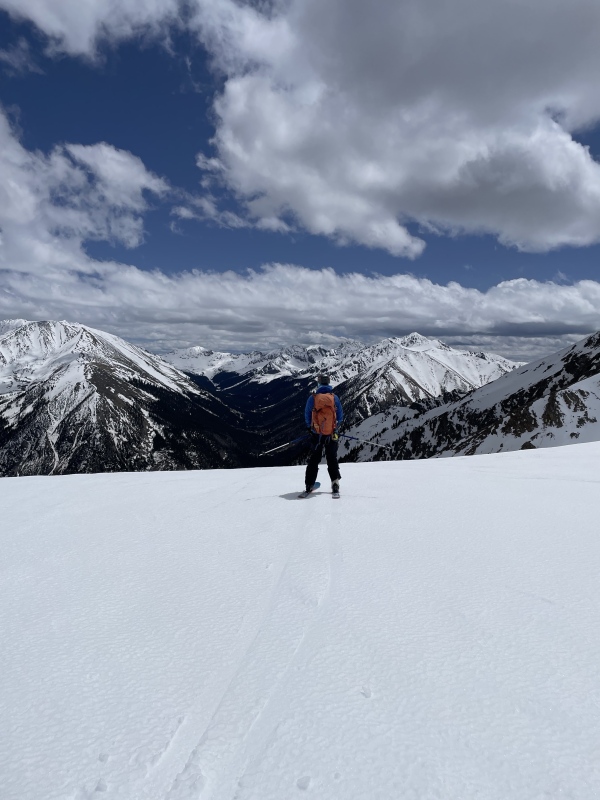 Photo #12 22530_12