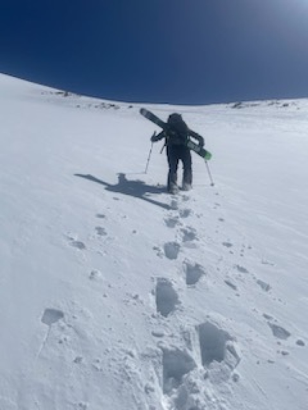 Photo #18 22530_18