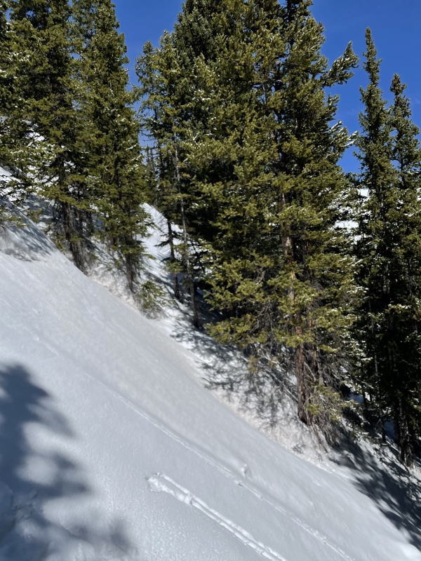 Photo #24 22530_24