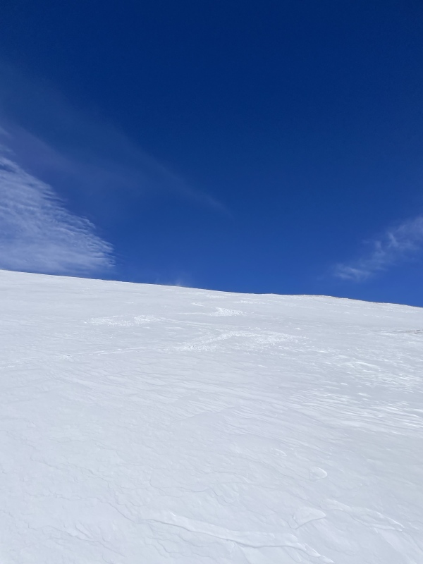 Photo #25 22530_25
