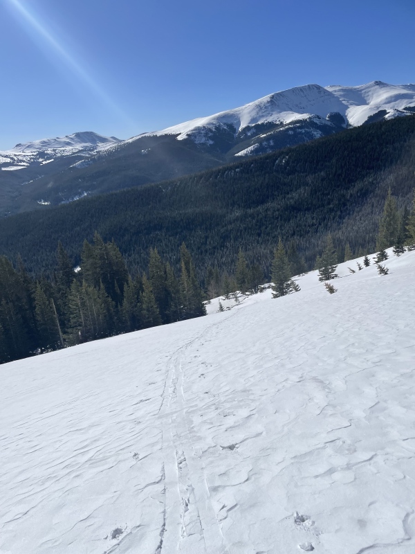 Photo #28 22530_28