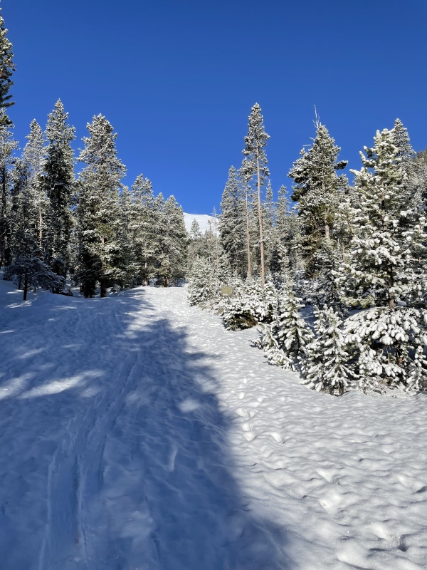 Photo #29 22530_29