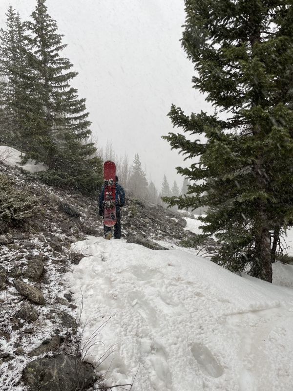 Photo #33 22530_33
