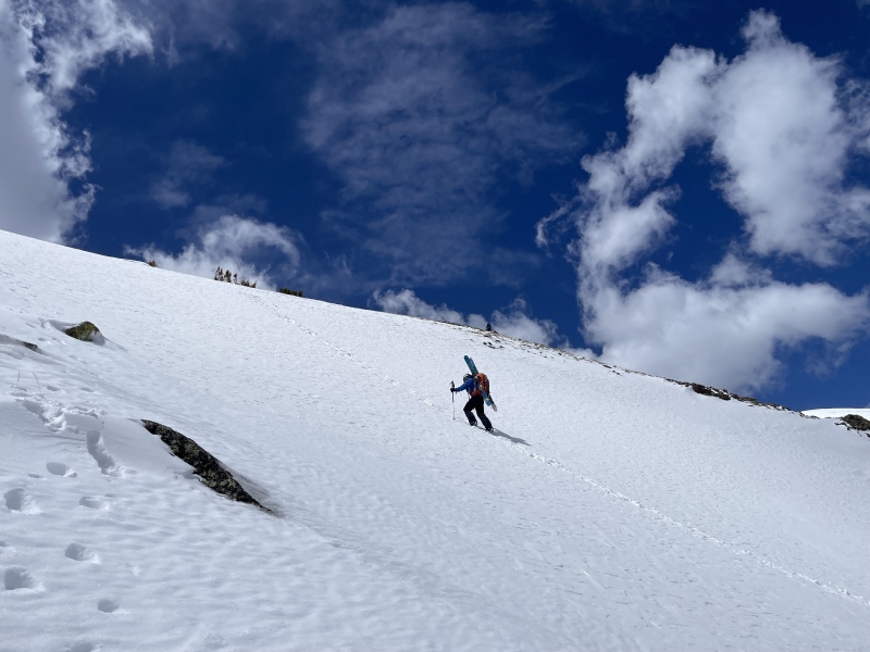 Photo #36 22530_36