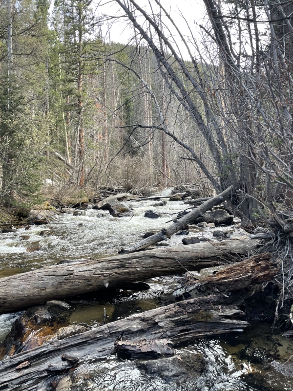 Photo #46 22530_46