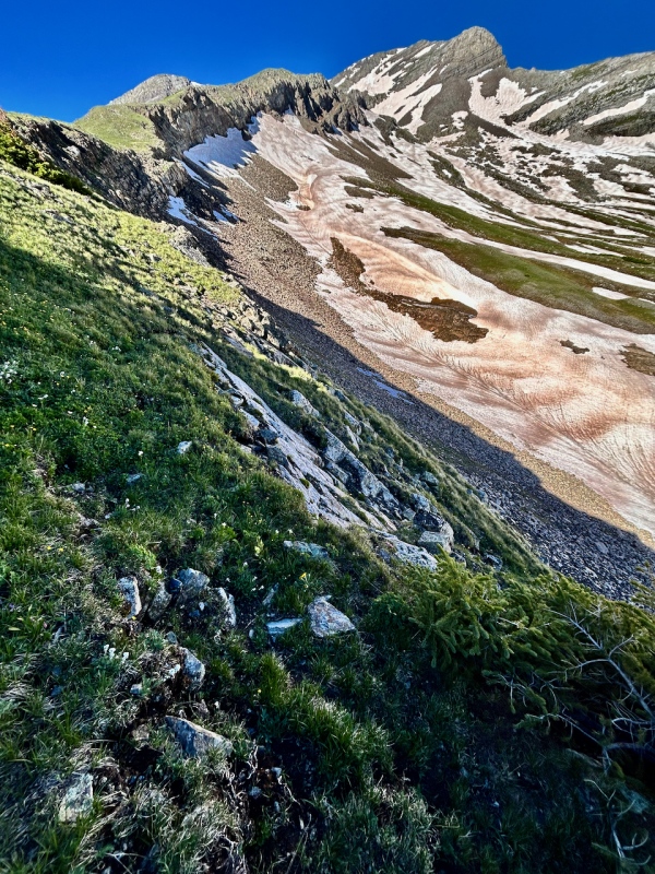 22815_19