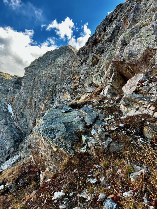 Caption Here 22906_11