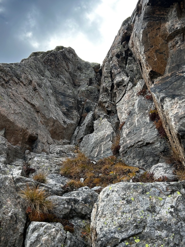 middle section of rock tundra 22906_15
