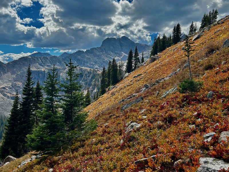 Finnegan above the fall foliage 22906_25