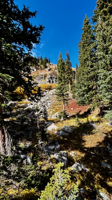 Caption Here 22906_26