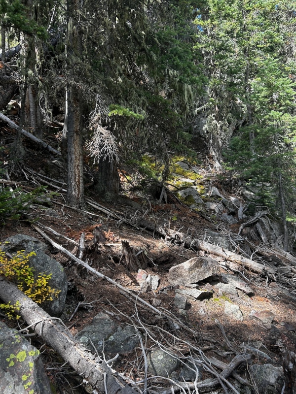 Caption Here 22906_31