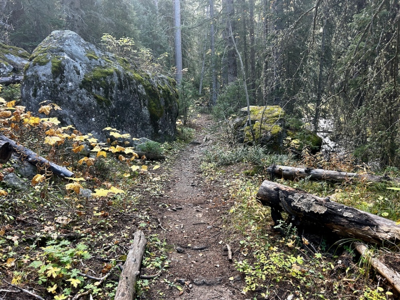 well-defined Lake Fork trail 22906_34