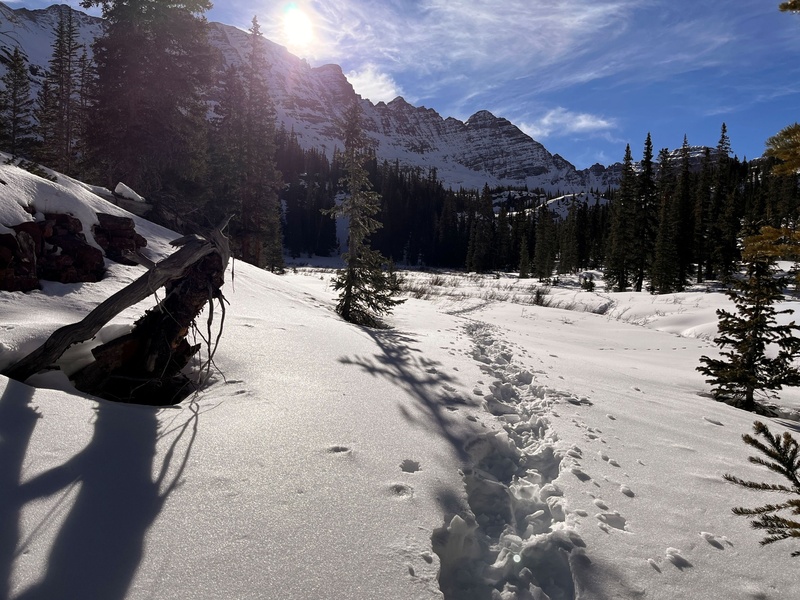 23407_34