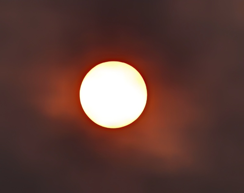 23553_19