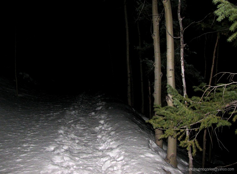 10_201203201716349_l.jpg