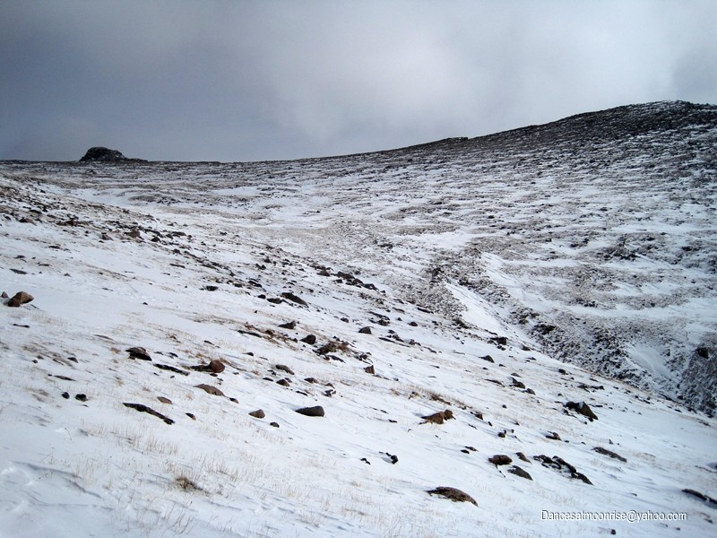 14_2012021522431413_l.jpg