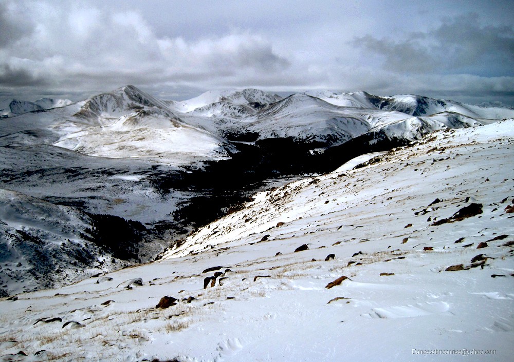 14_2012021522431414_l.jpg