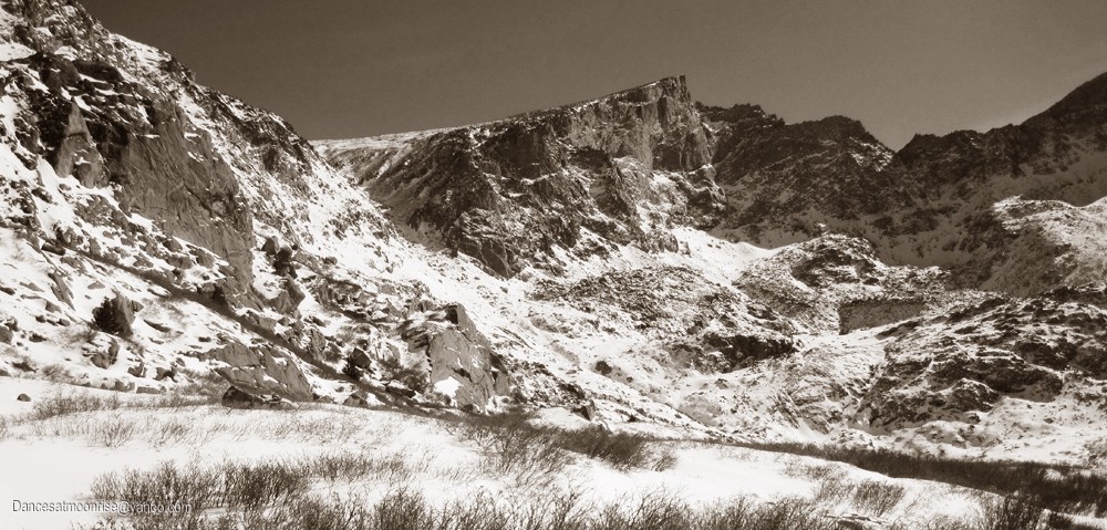 14_201202152243146_l.jpg