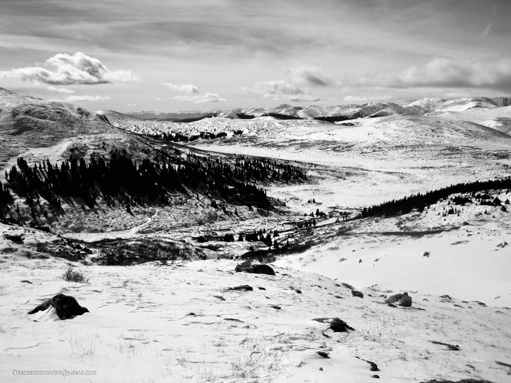 14_201202152243147_l.jpg