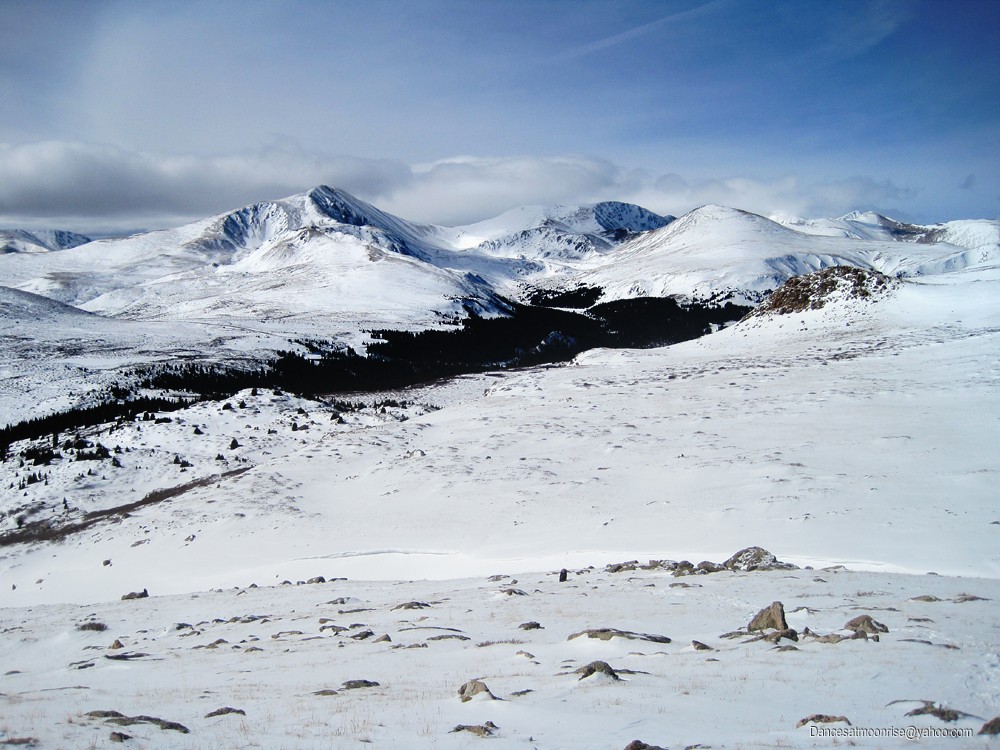 14_201202152243148_l.jpg