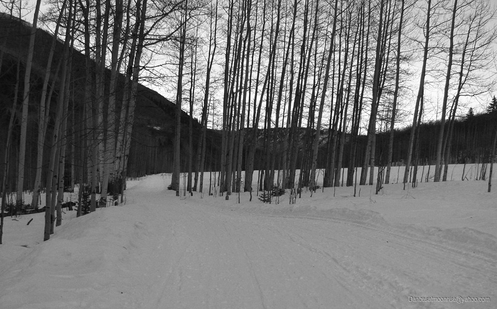 29_201201160947341_l.jpg