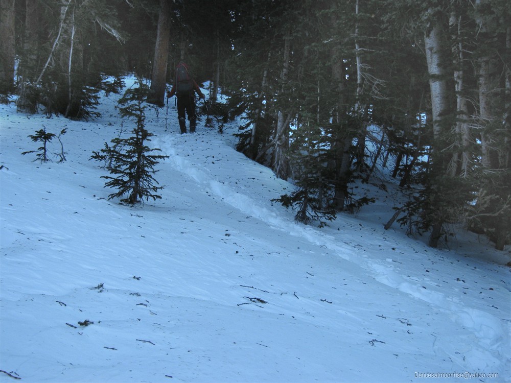 29_201201160947349_l.jpg