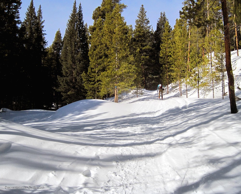 2_201104241429411_l.jpg