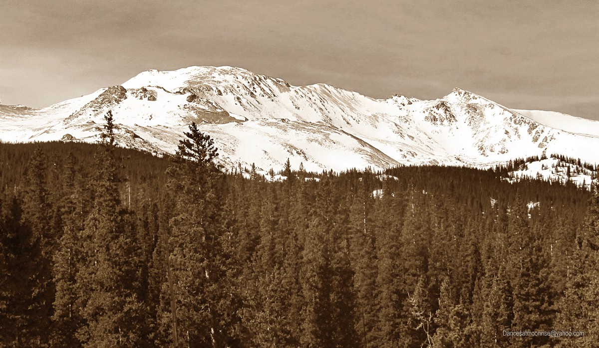 2_201104241429412_l.jpg