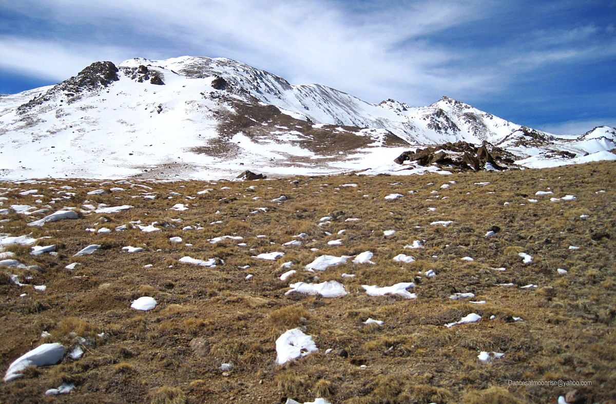 2_201104241429414_l.jpg