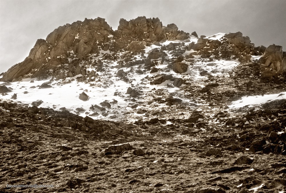 2_201104241429416_l.jpg