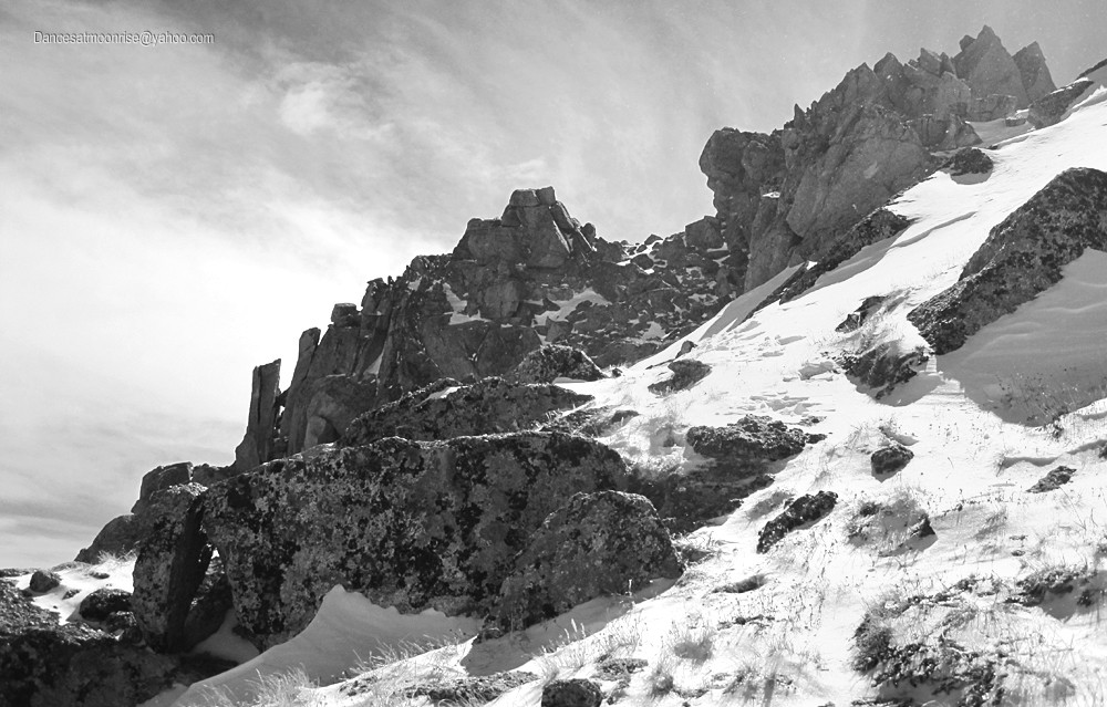 2_201104241429418_l.jpg
