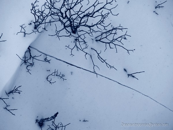 36_201201210849552_l.jpg