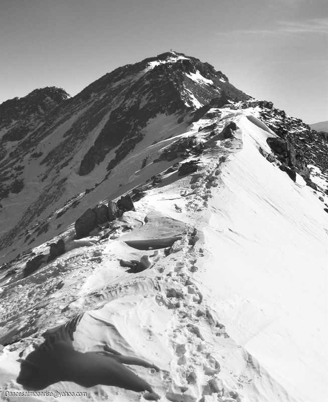 36_2012012108495530_l.jpg