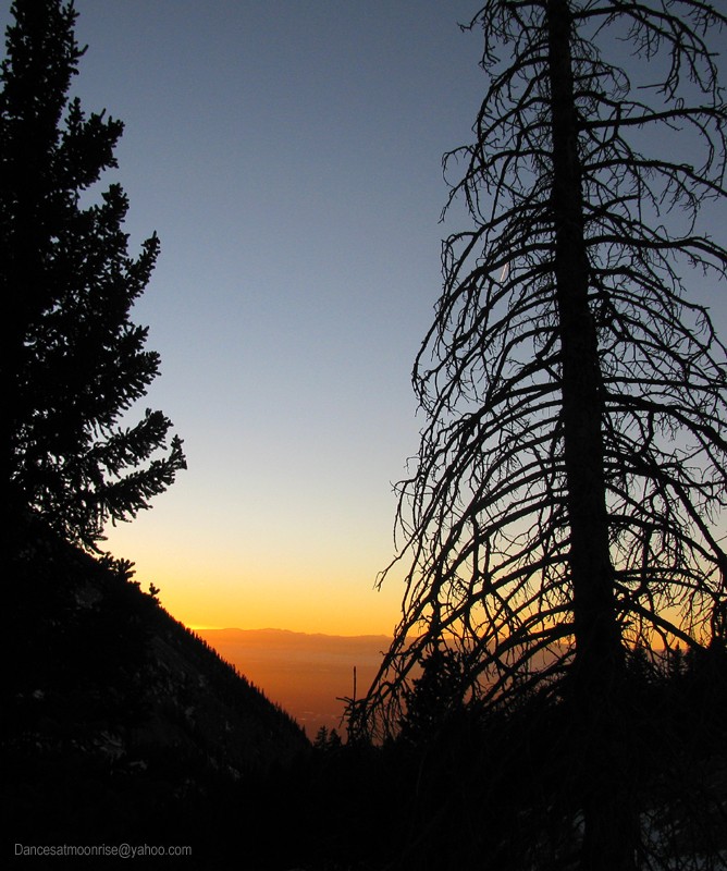 42_2012012723184130_l.jpg