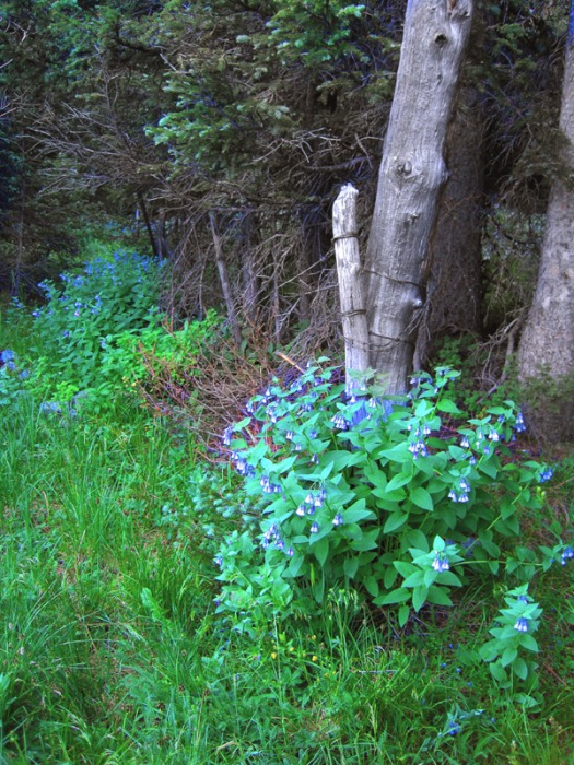 43_2010072020544121.jpg