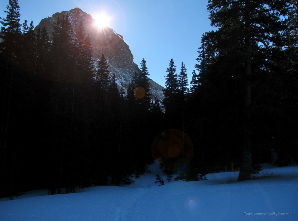43_2013013021215610_l.jpg