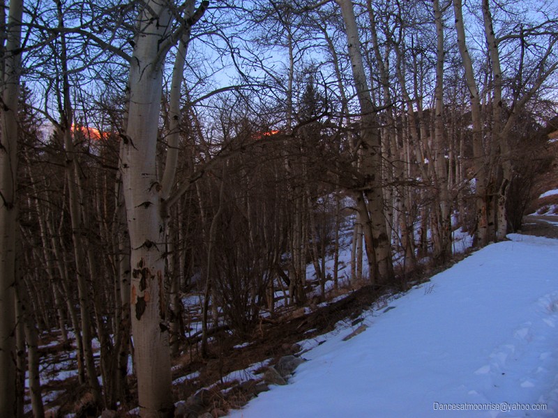 43_201301302121561_l.jpg