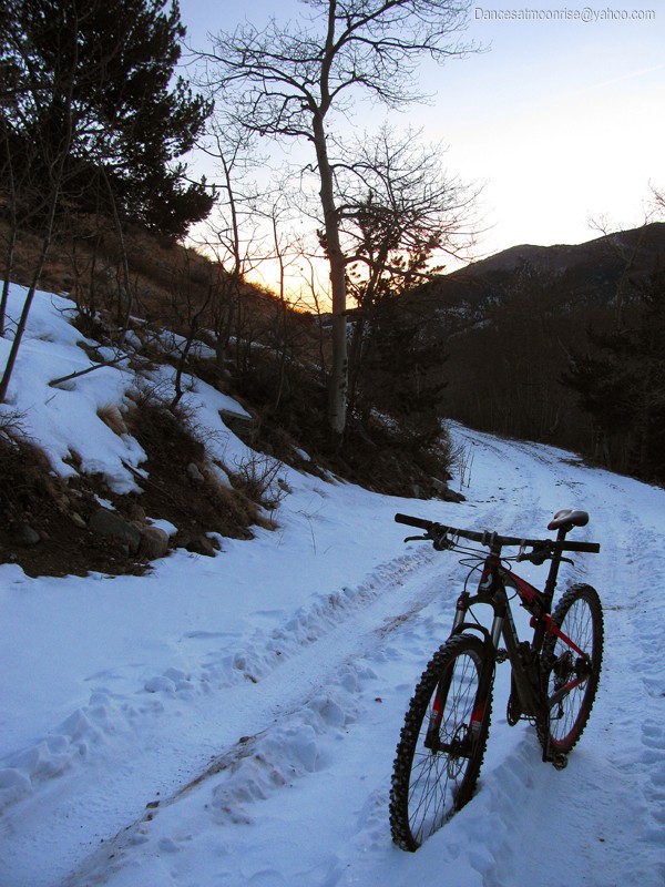 43_201301302121562_l.jpg