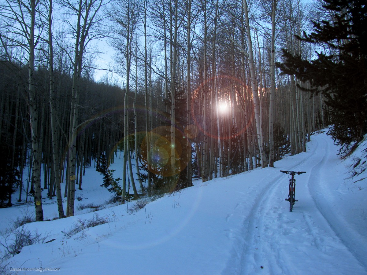 43_201301302121564_l.jpg