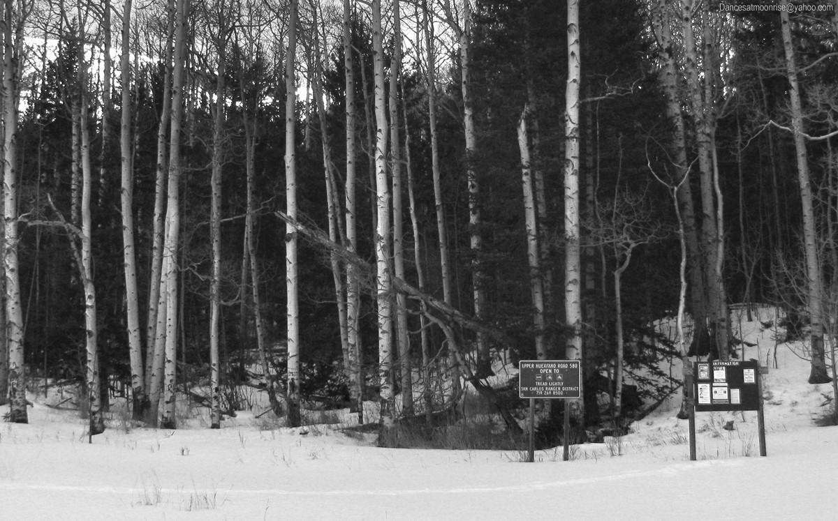 43_201301302121565_l.jpg