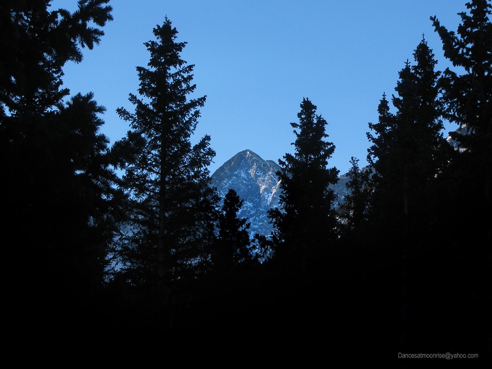 43_201301302121566_l.jpg