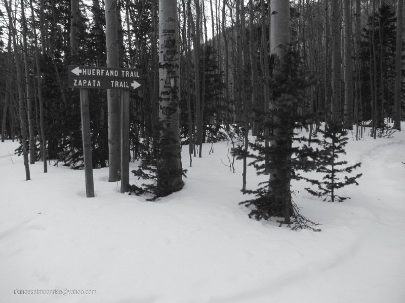 43_201301302121567_l.jpg