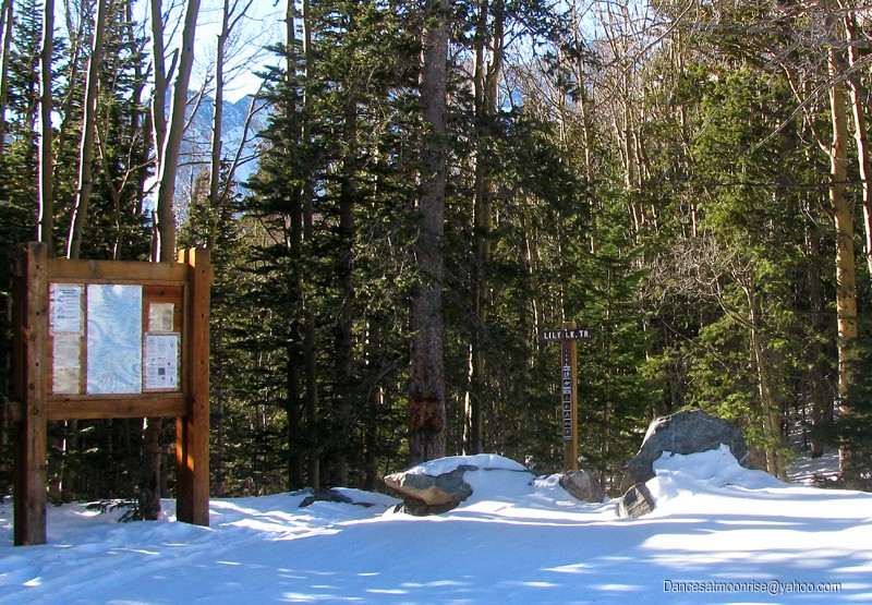 43_201301302121568_l.jpg