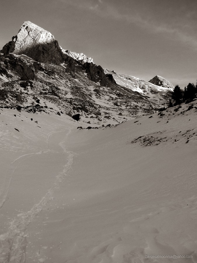 43_2013013022002310_l.jpg